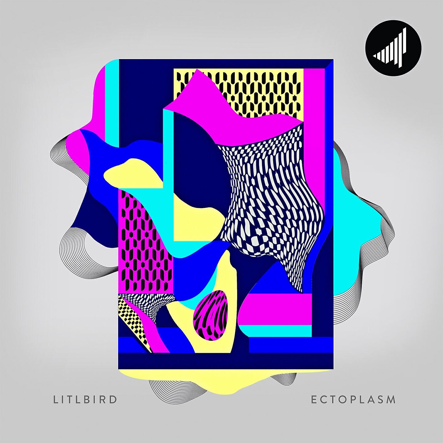 LITLBIRD - Ectoplasm (FRQ NCY Remix)