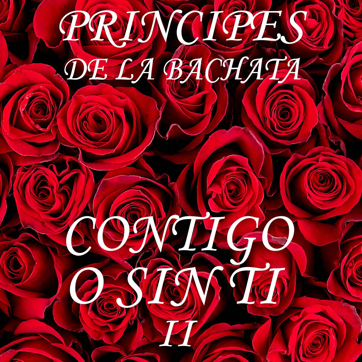 Постер альбома Con Tigo o Sin Ti II