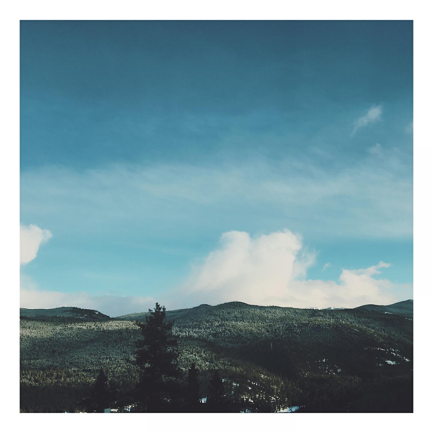 Jamison Isaak - Pines