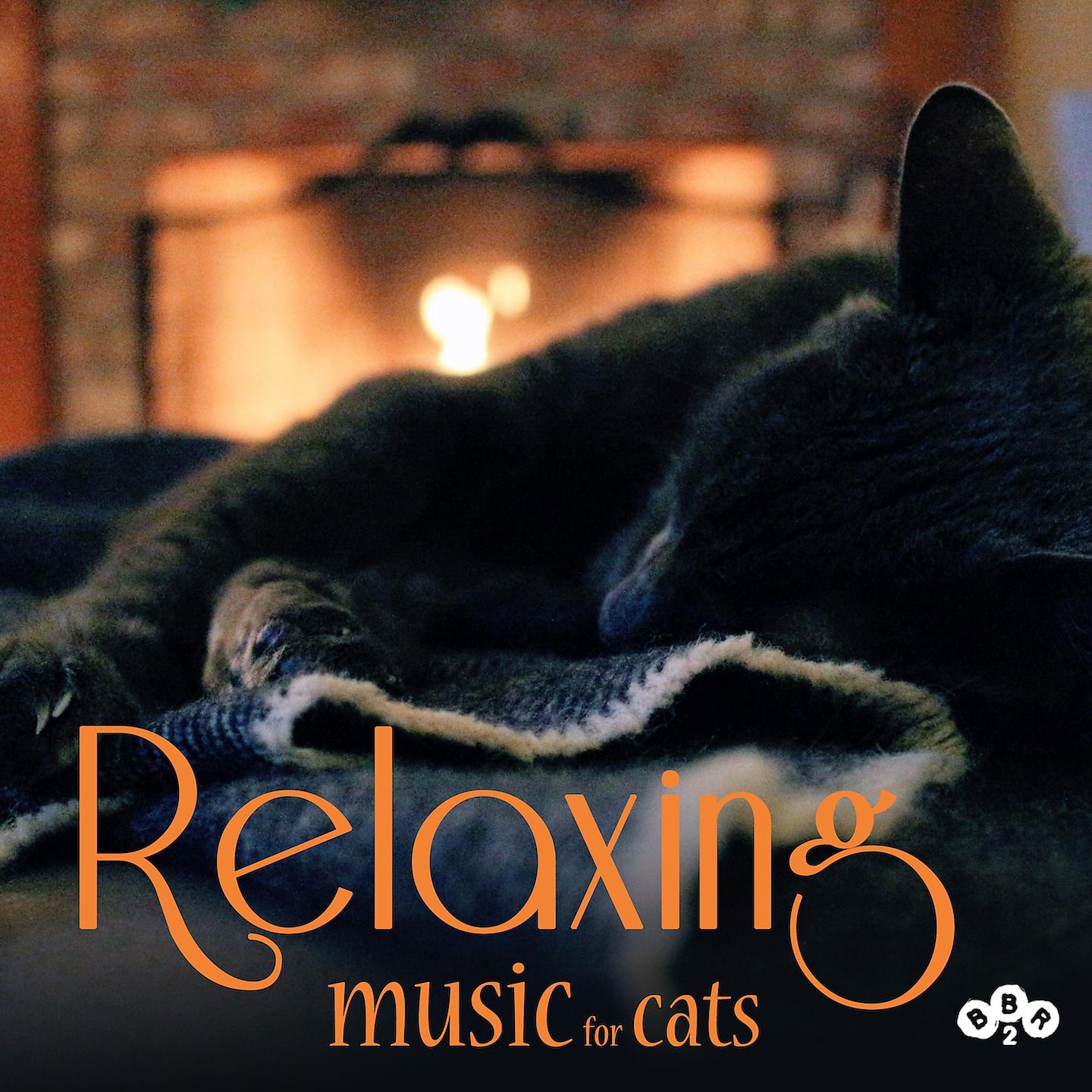 Постер альбома Relaxing Music for Cats
