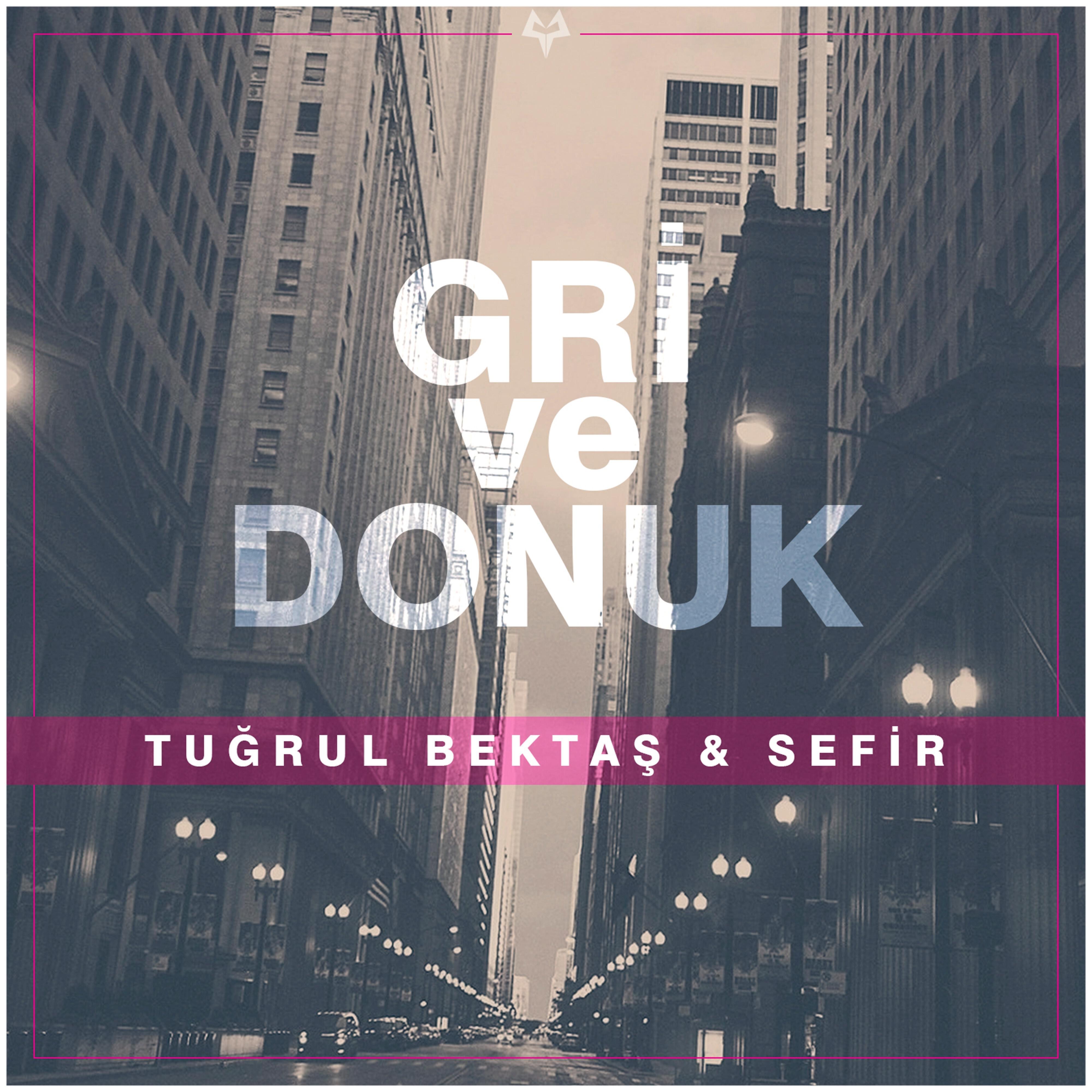 Tuğrul Bektaş - Gri Ve Donuk