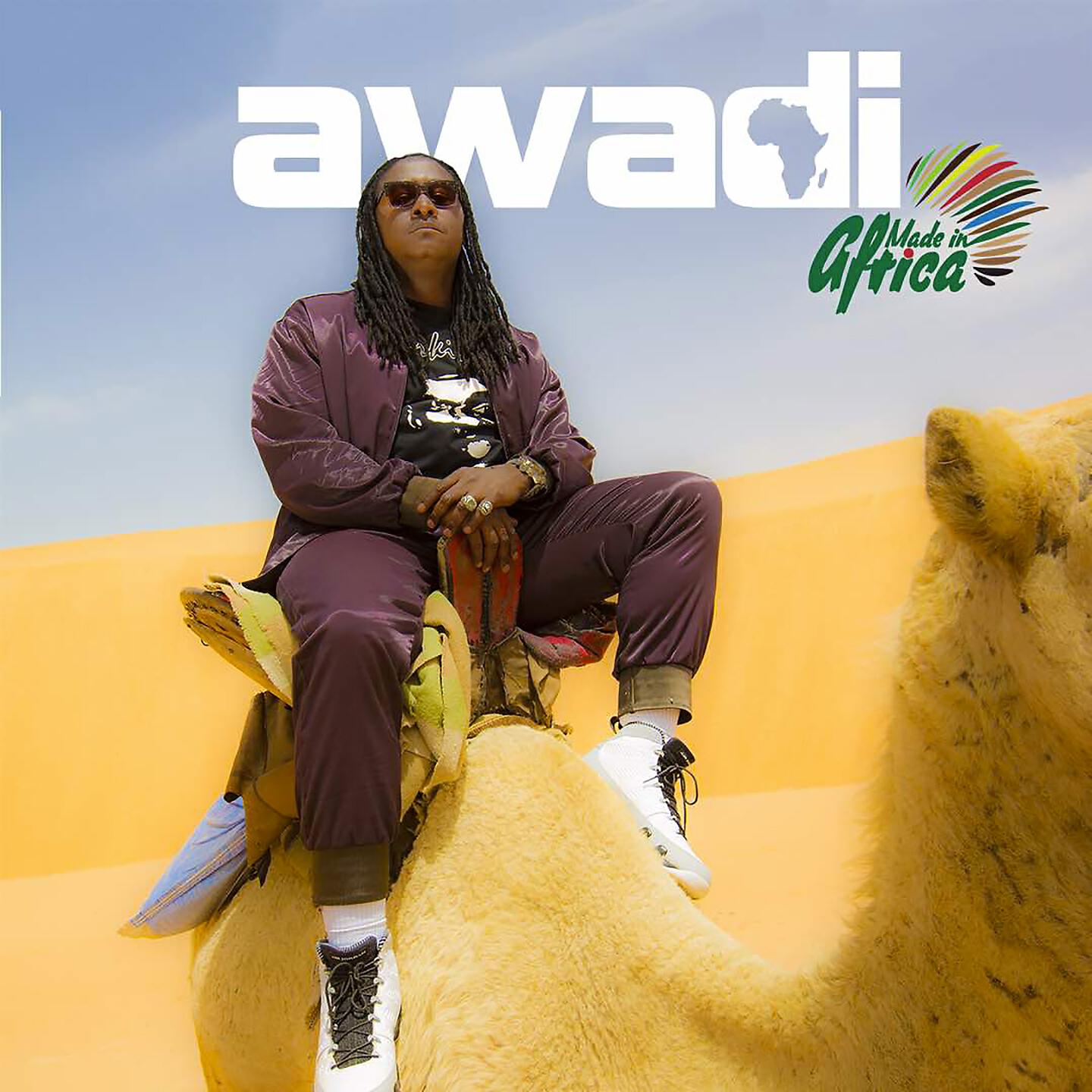 Didier Awadi - Bamako blues