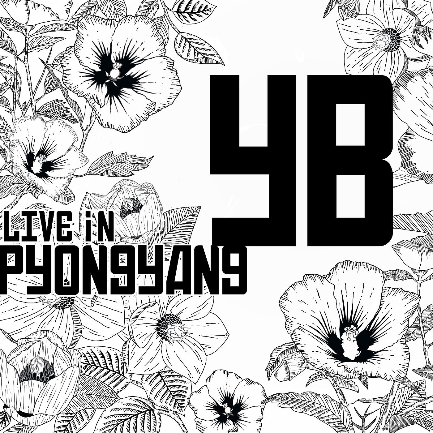 Постер альбома 2018 YB Live in Pyongyang