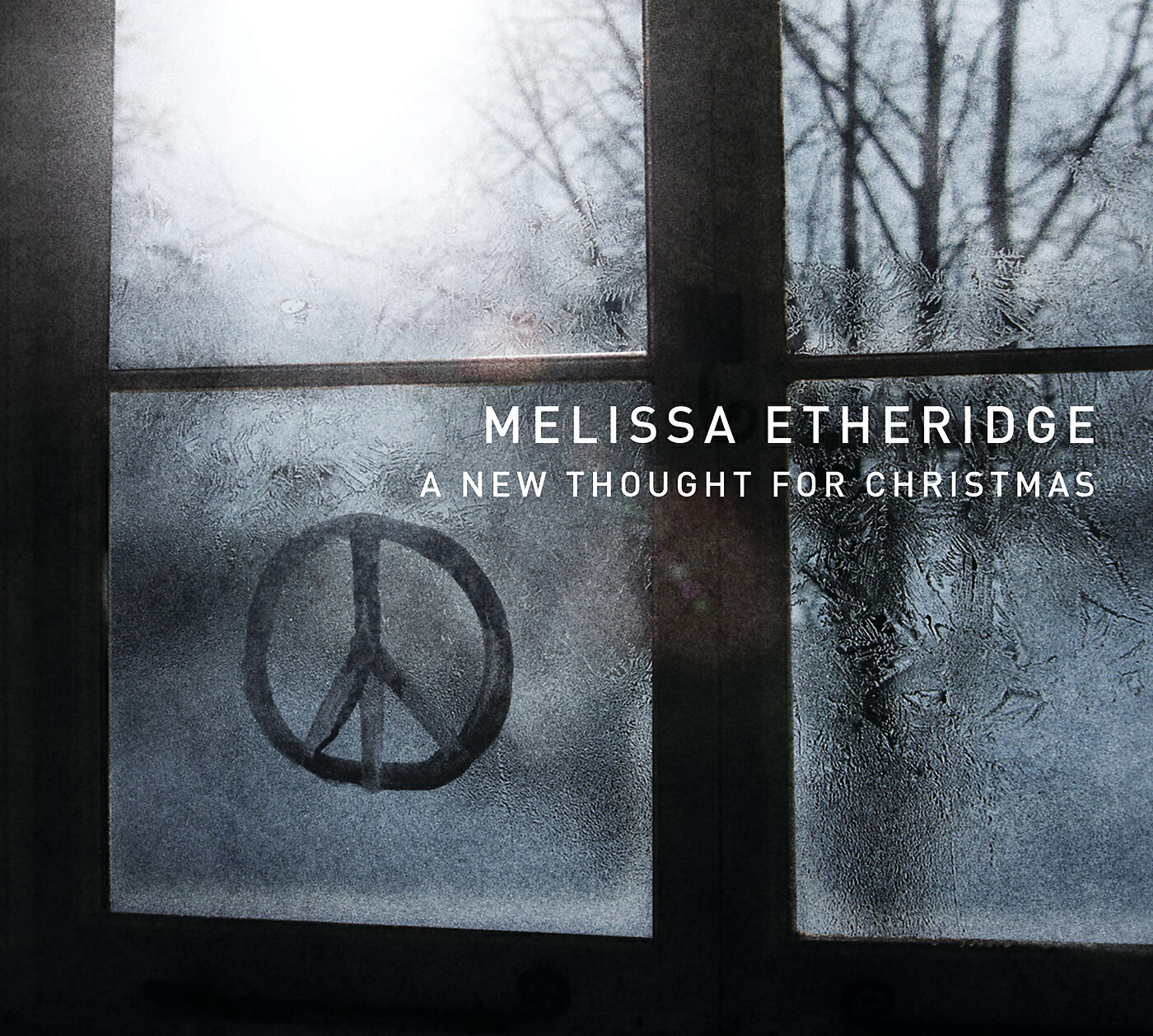 Melissa Etheridge - Light A Light (Album Version)