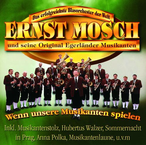 Постер альбома Wenn Unsere Musikanten Spielen