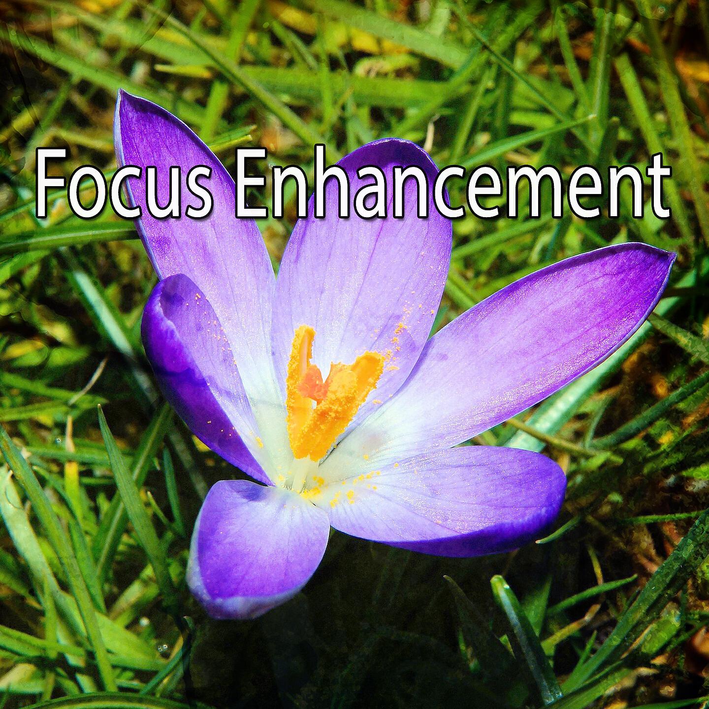 Focus Study Music Academy - Calming Tides