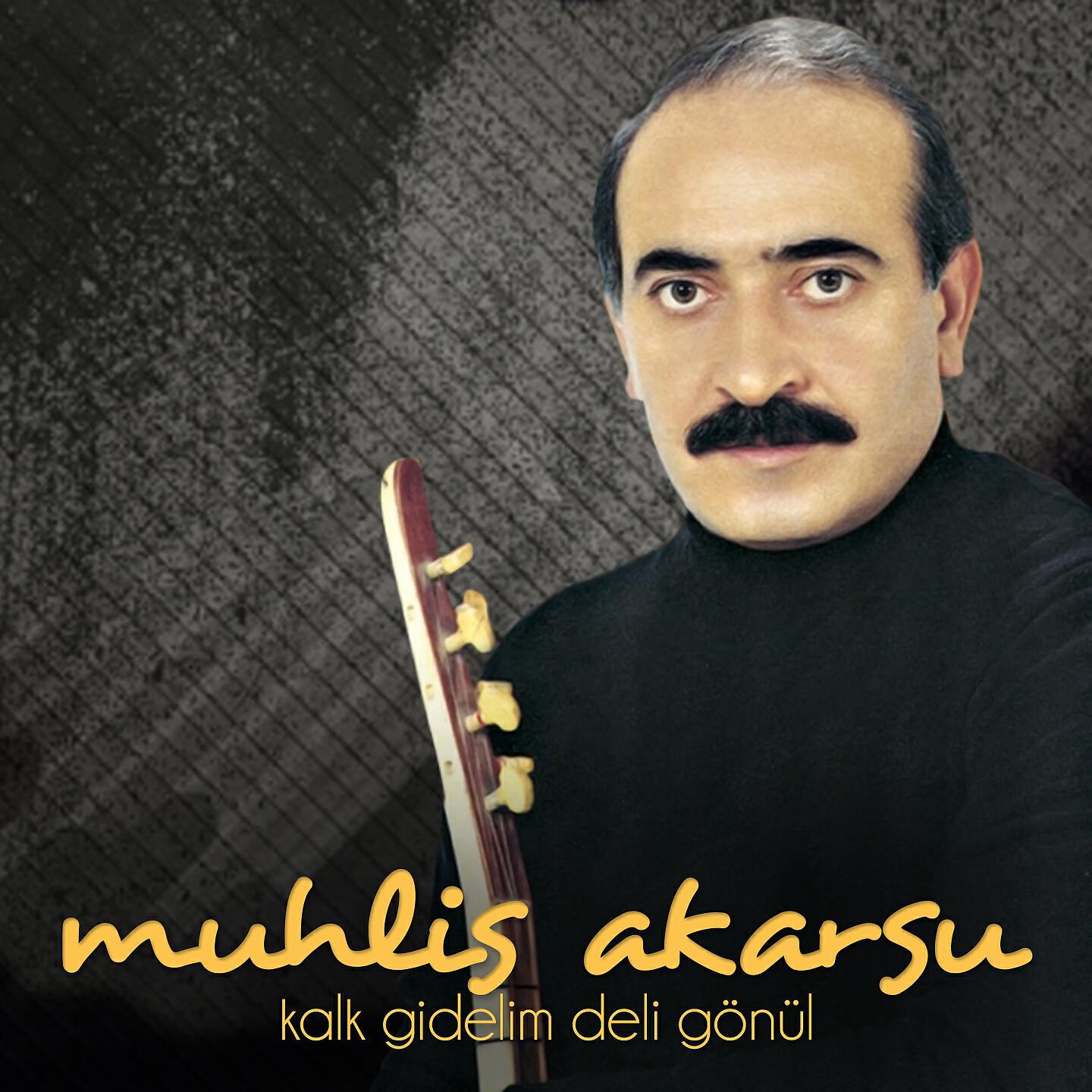 Muhlis Akarsu - Vefasız Dost