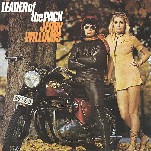 Jerry Williams - Highway Of Freedom