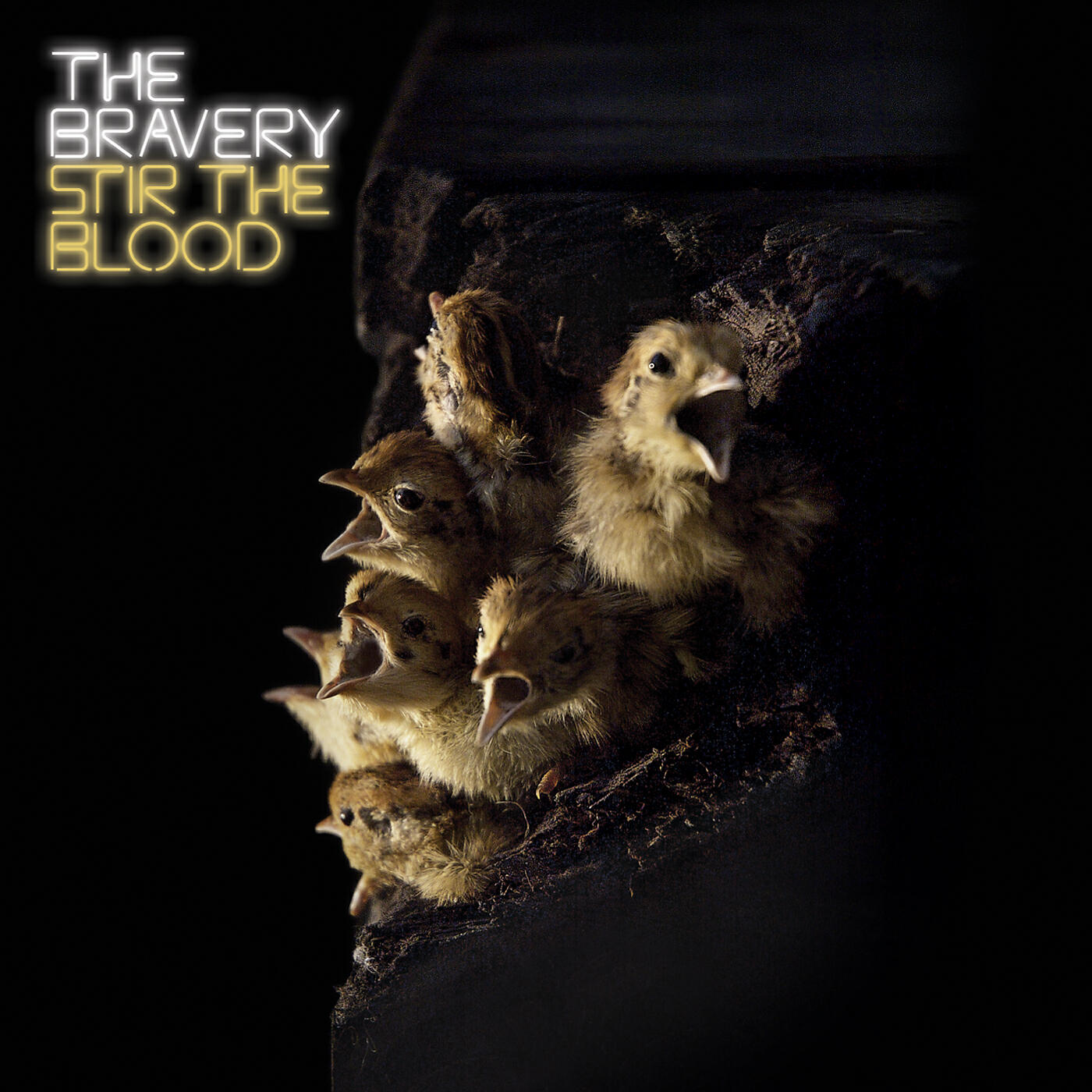 The Bravery - Hatef--k (Album Version)