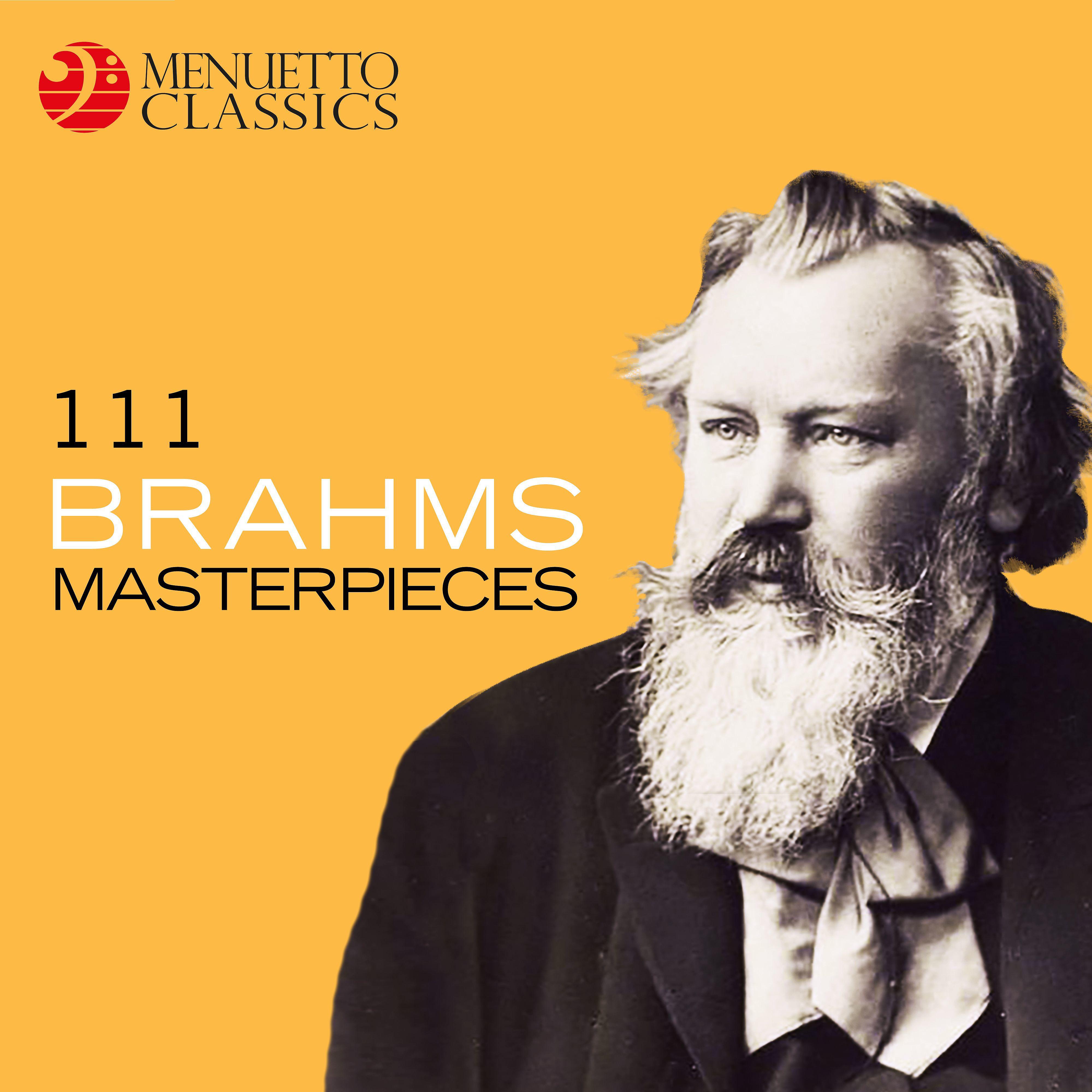 Постер альбома 111 Brahms Masterpieces