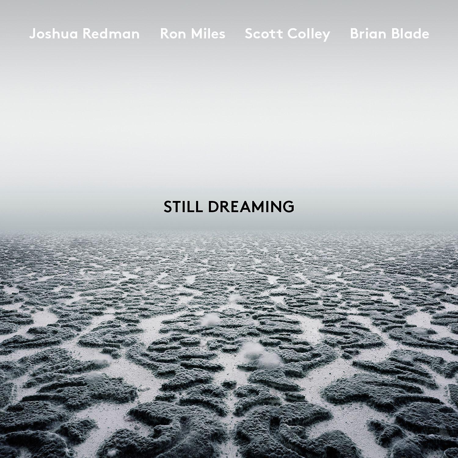 Joshua Redman - Haze and Aspirations (feat. Ron Miles, Scott Colley & Brian Blade)