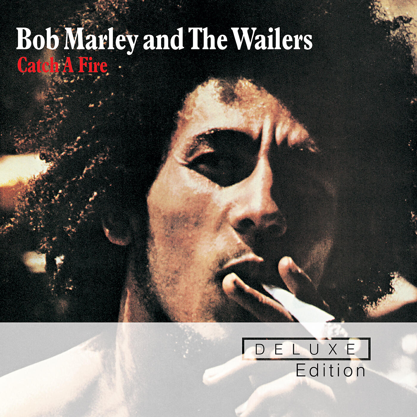 Bob Marley & The Wailers - Concrete Jungle
