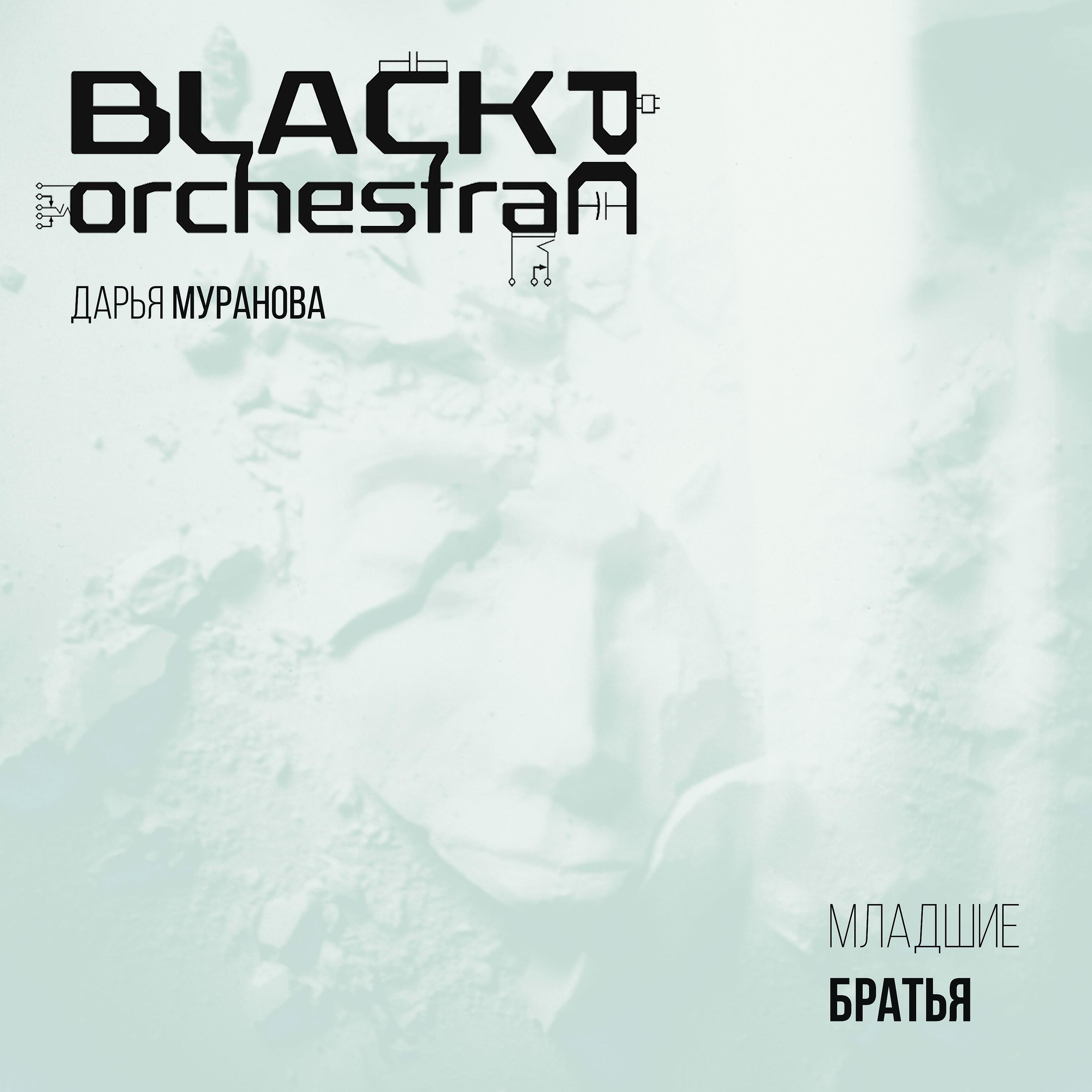 Black Pc Orchestra - Стивен Кинг