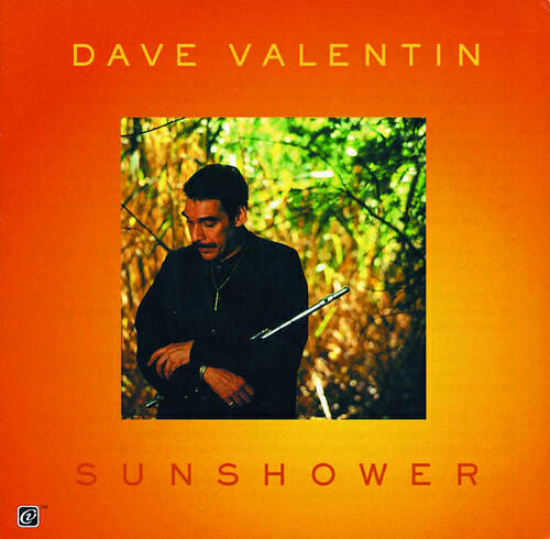 Dave Valentin - Sunshower