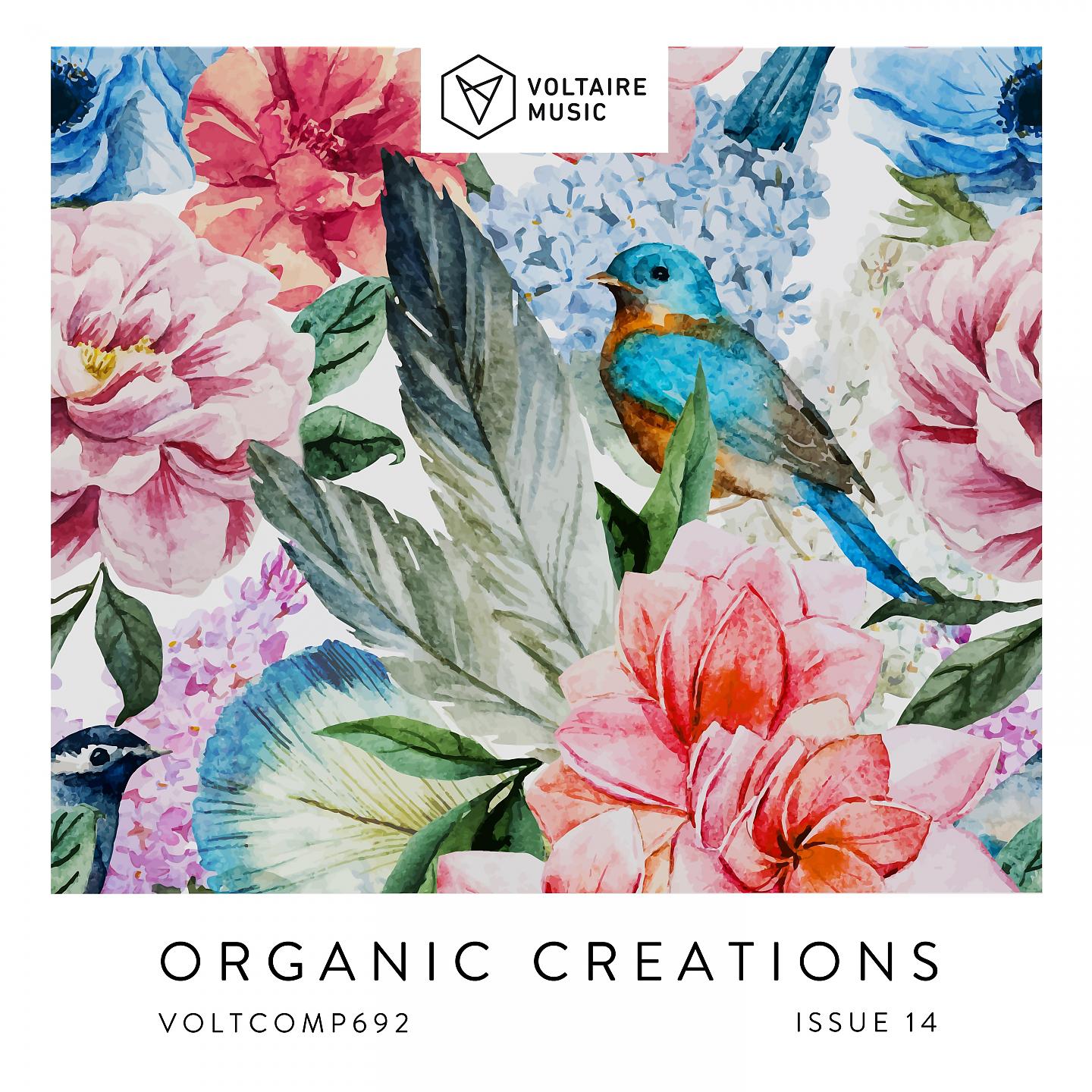 Постер альбома Organic Creations Issue 14
