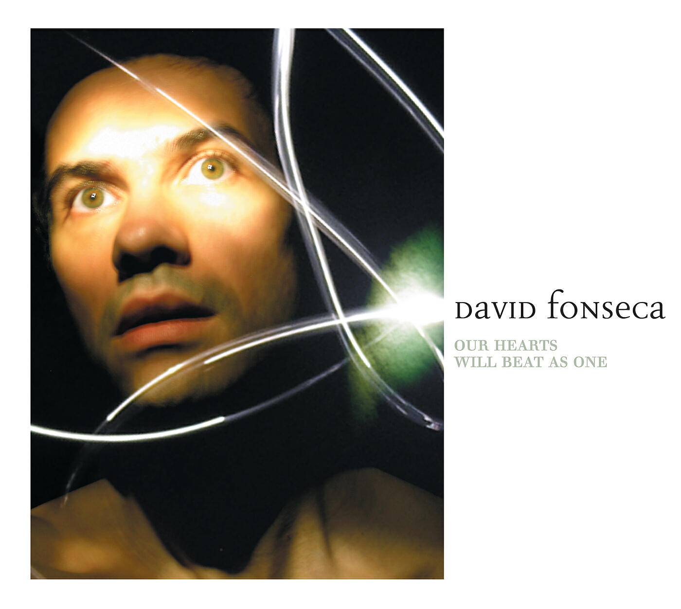 David Fonseca - Our Hearts Will Beat As One II