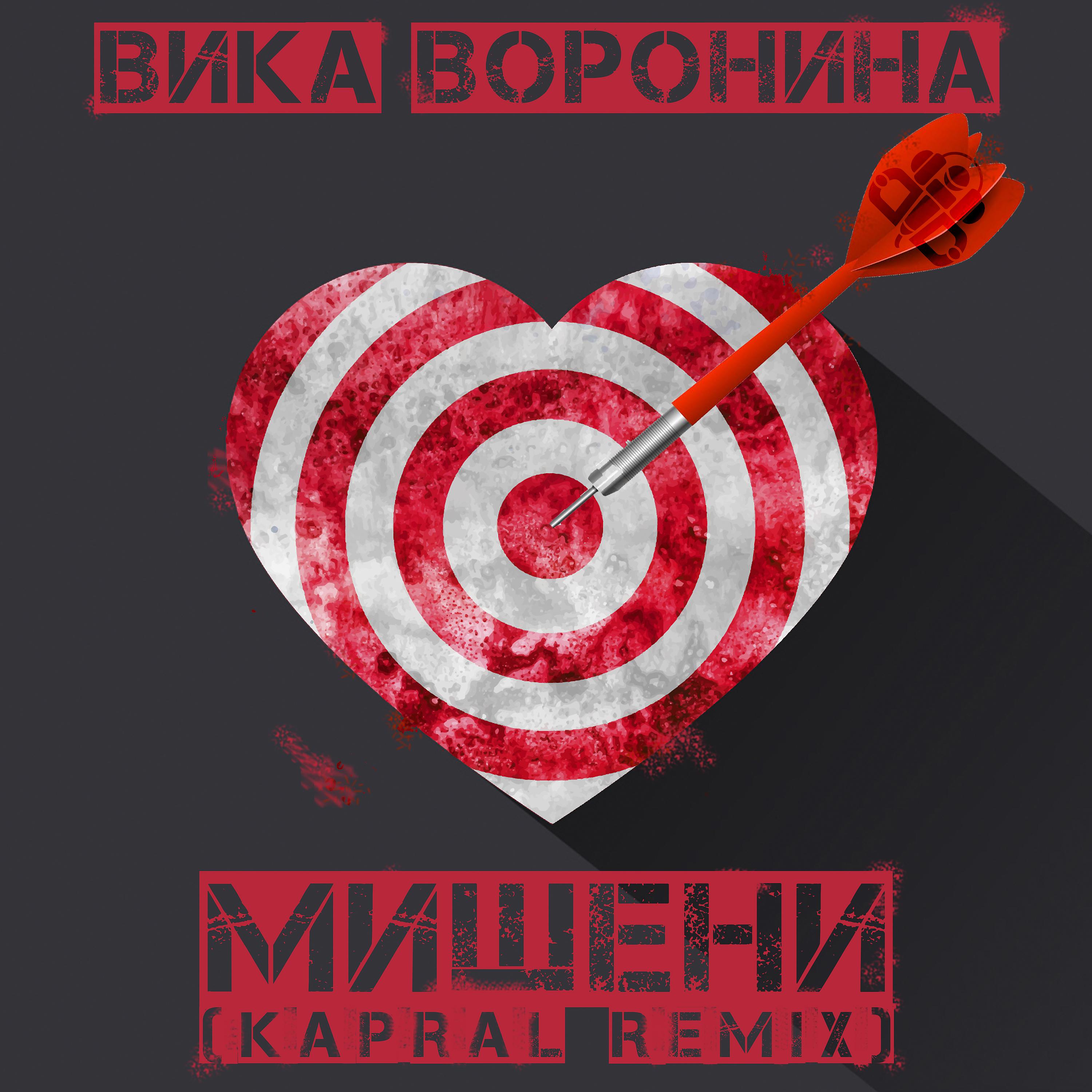 Постер альбома Мишени (Dj Kapral Remix)