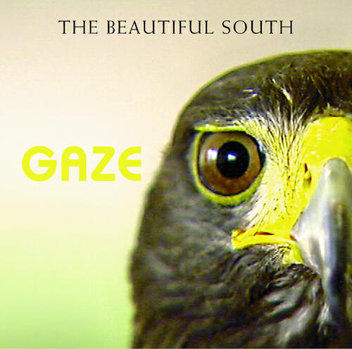 The Beautiful South - Angels & Devils