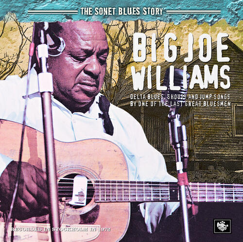 Big Joe Williams - Levee Break Blues