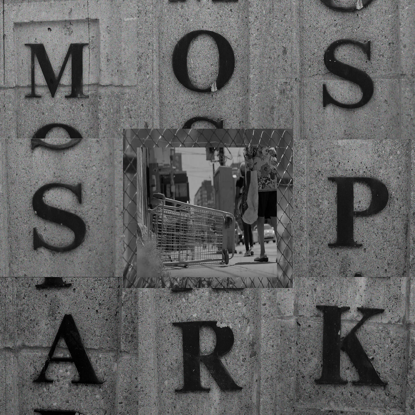 Rare Americans - Moss Park