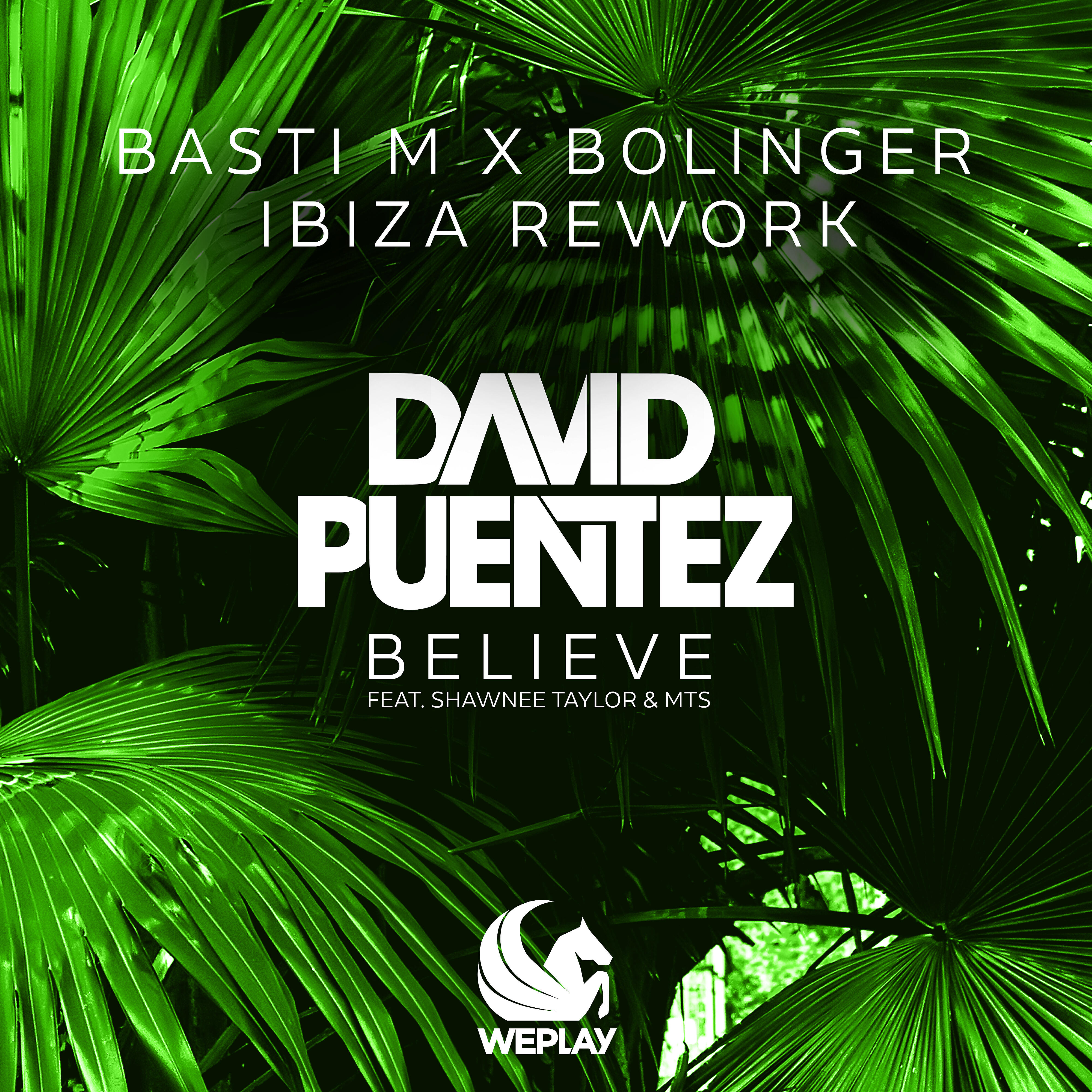 David Puentez - Believe (feat. Shawnee Taylor & MTS) [Basti M x Bolinger Ibiza Rework]
