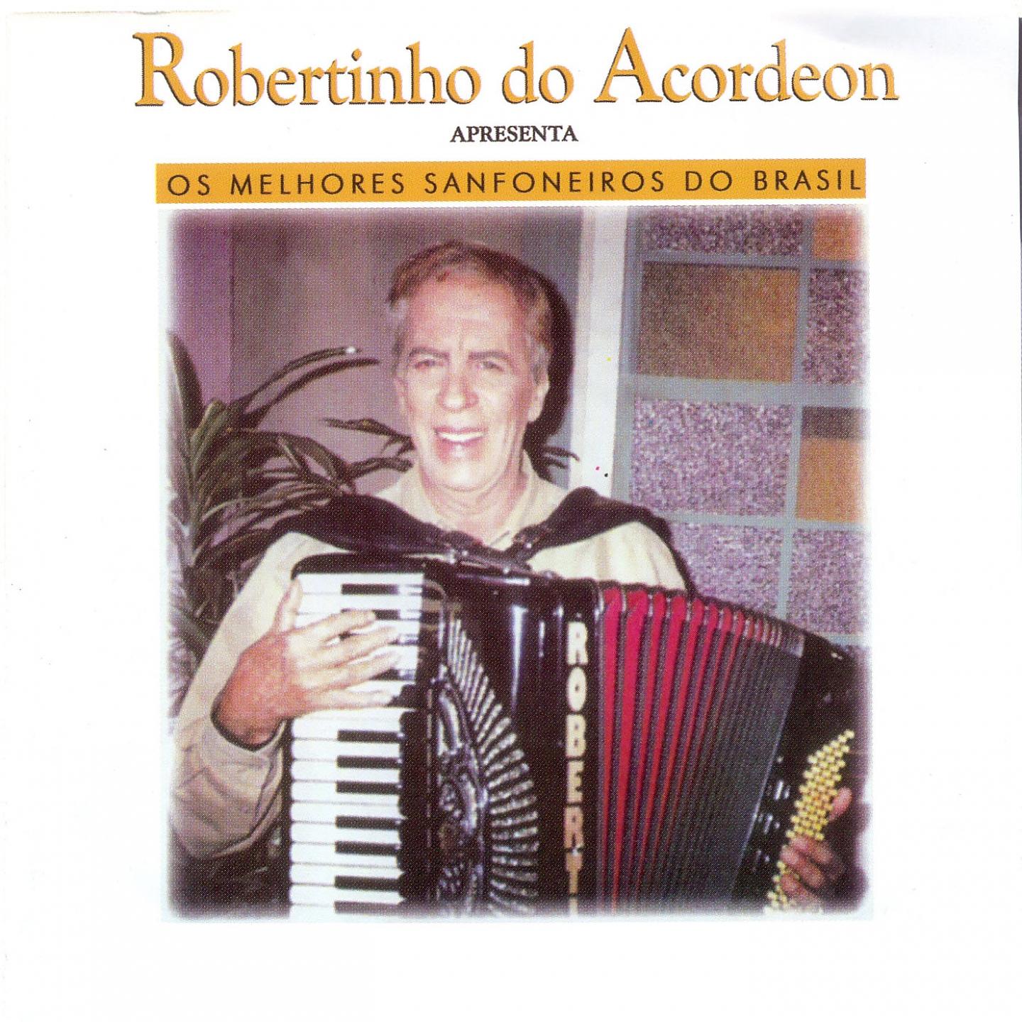 Robertinho do Acordeon - Chamego do Guiomar