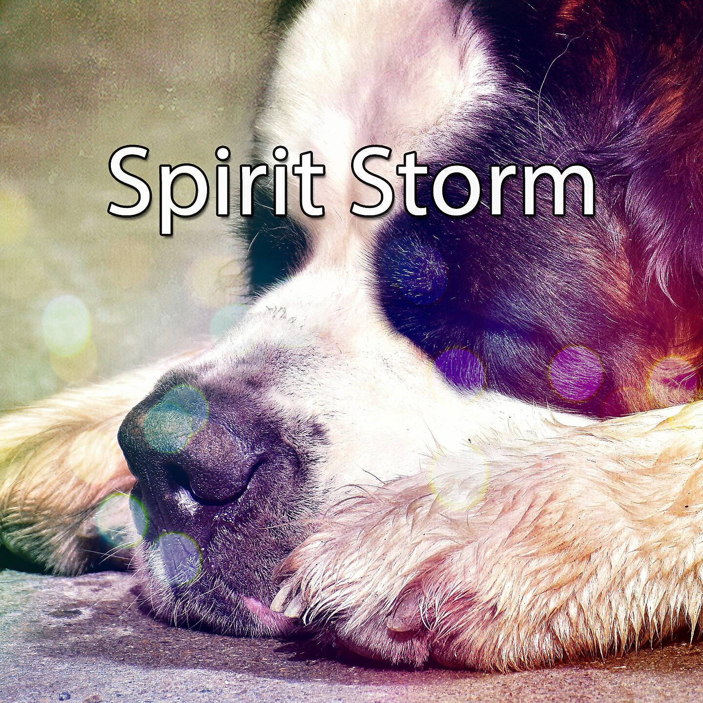 Rain For Deep Sleep - A Passing Waterfall With Thunder
