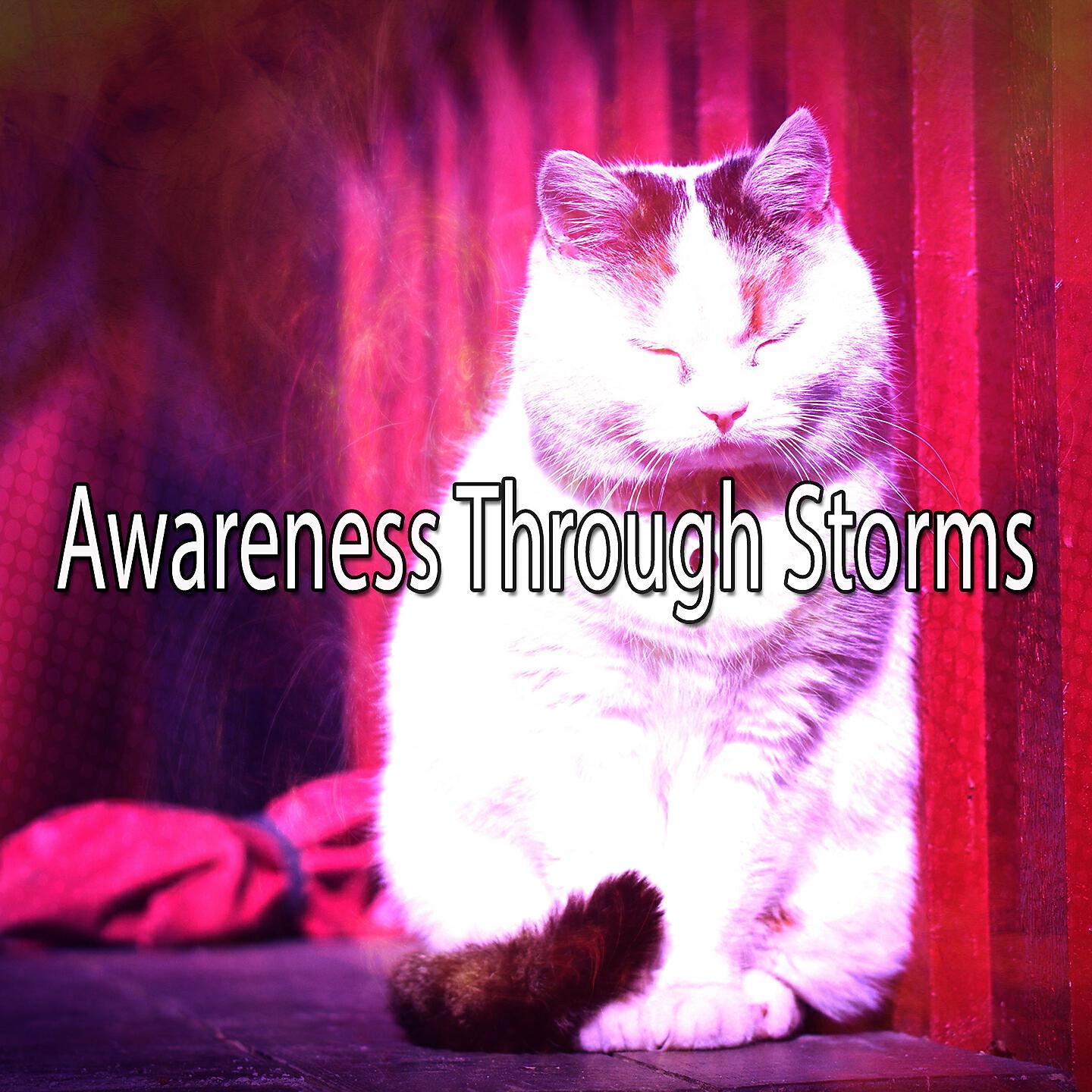 Rain Sounds & White Noise - Incoming Storm
