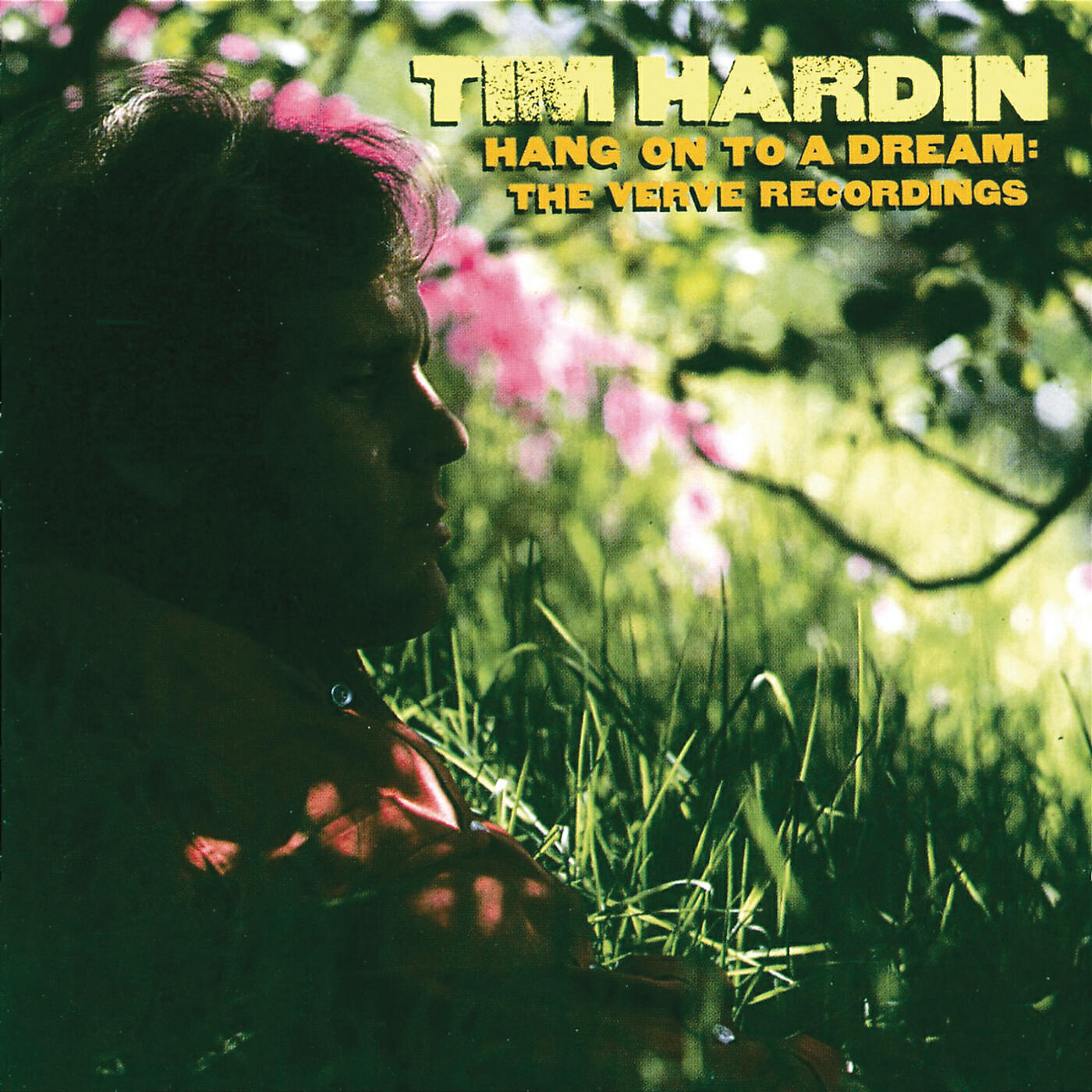 Tim Hardin - If I Were A Carpenter