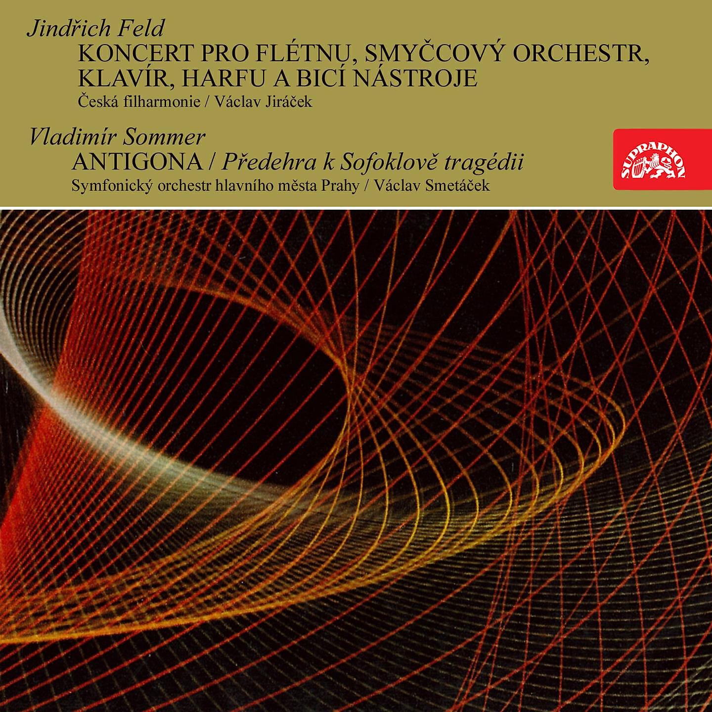 Czech Philharmonic - Concerto for Flute and Orchestra, .: I. Allegro appassionato