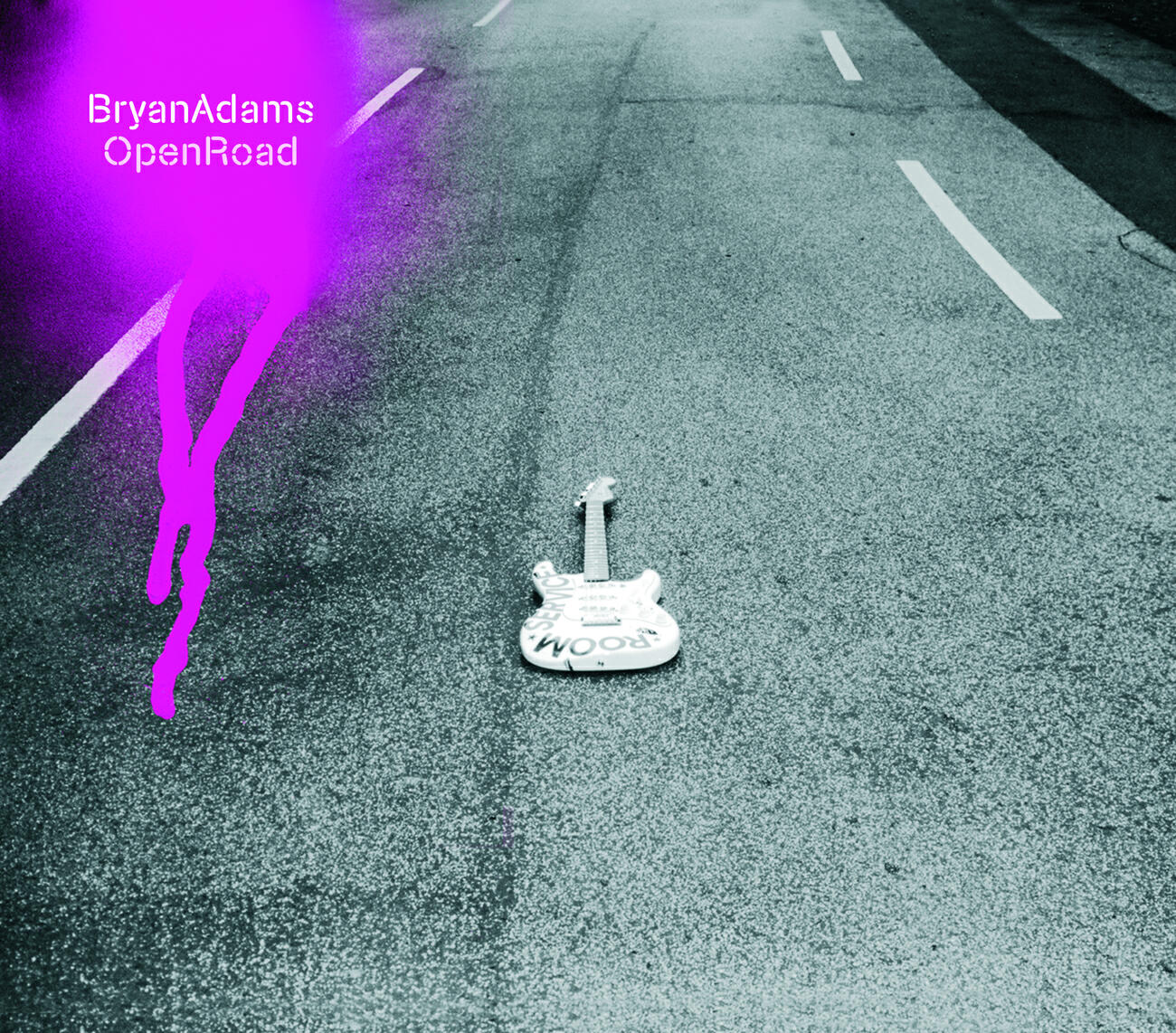Bryan Adams - Blessing In Disguise