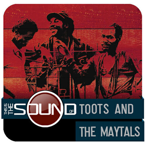 Toots & The Maytals - Louie Louie (Album Version)