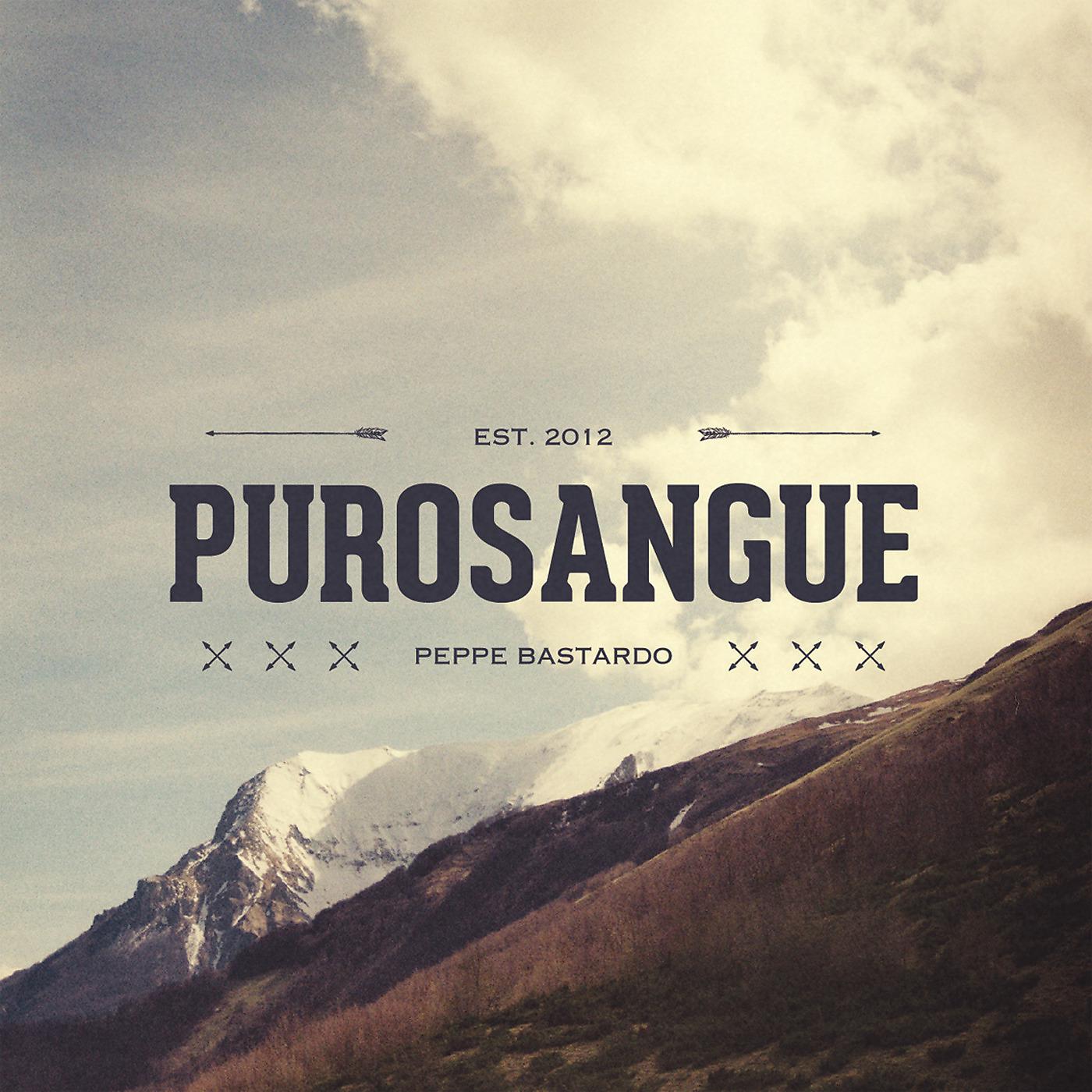 Постер альбома Purosangue