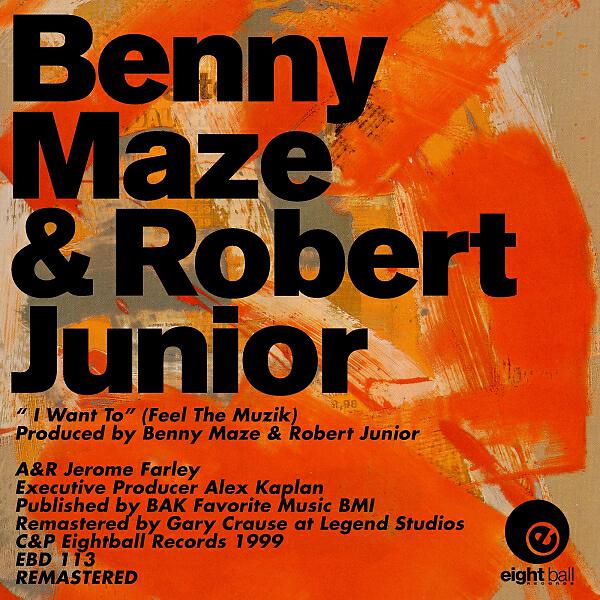 Robert Junior - I Want To (Feel The Muzik) (The Muzik Mix)