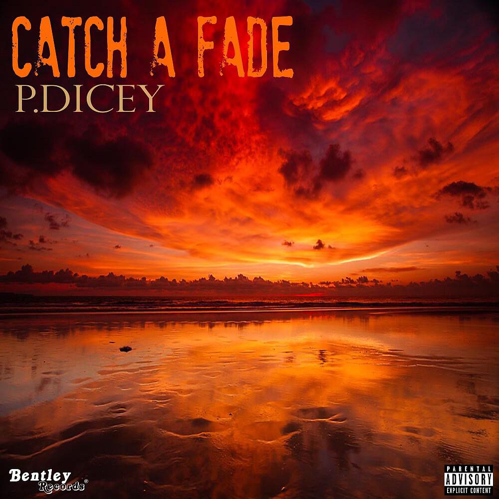 P.Dicey - Can't Let Go