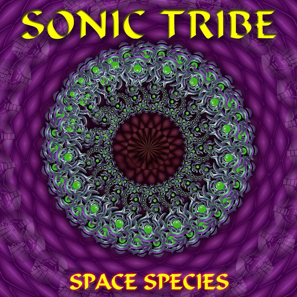 Sonic Tribe - Galactic Explorers (Original Mix)