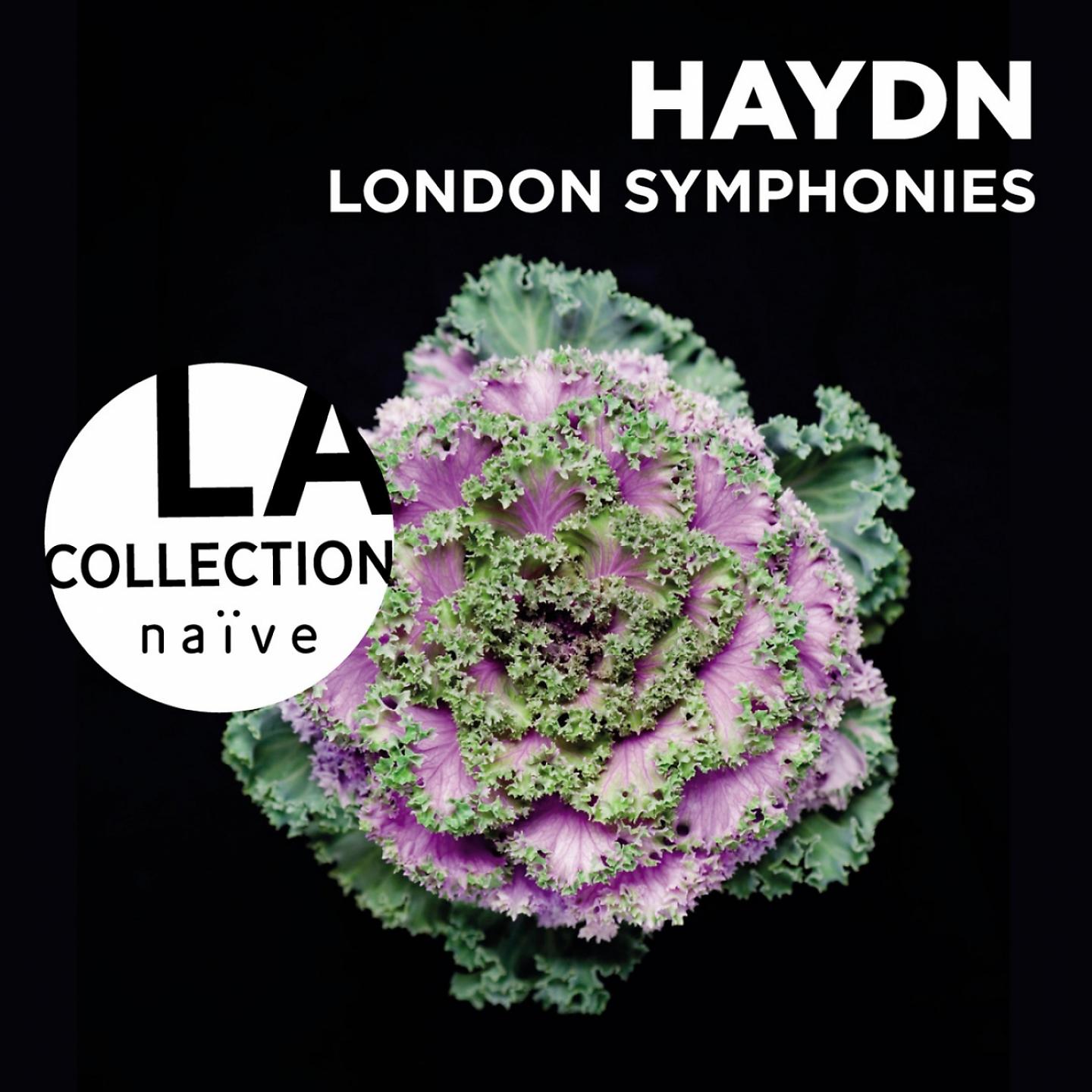 Постер альбома Haydn: London Symphonies