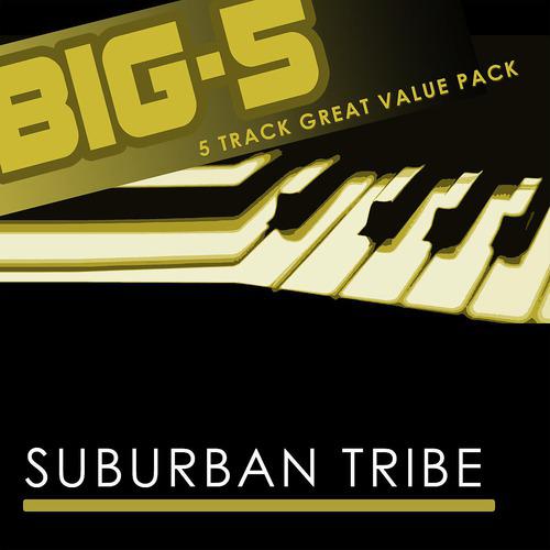 Постер альбома Big-5: Suburban Tribe