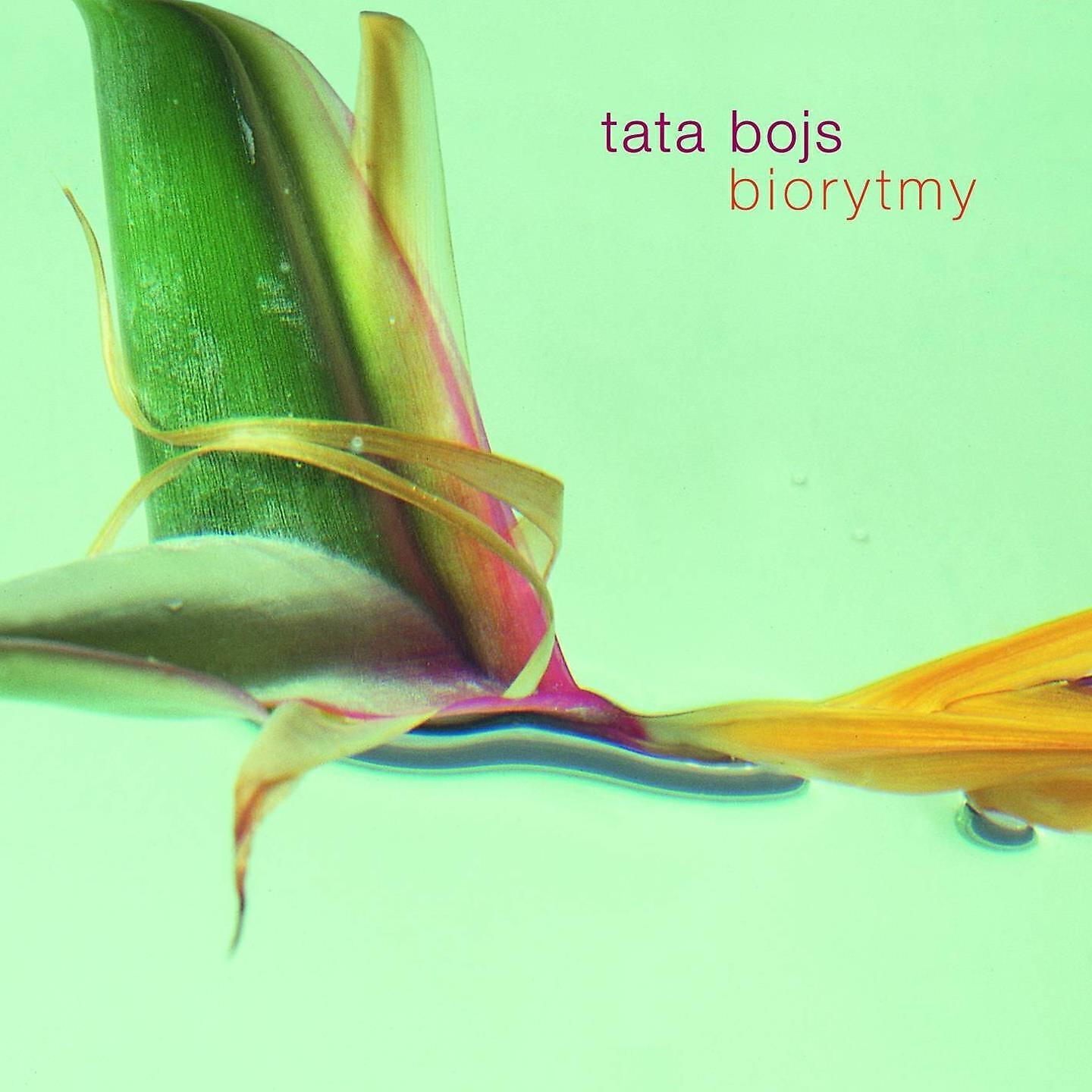 Tata Bojs - B.M.O.