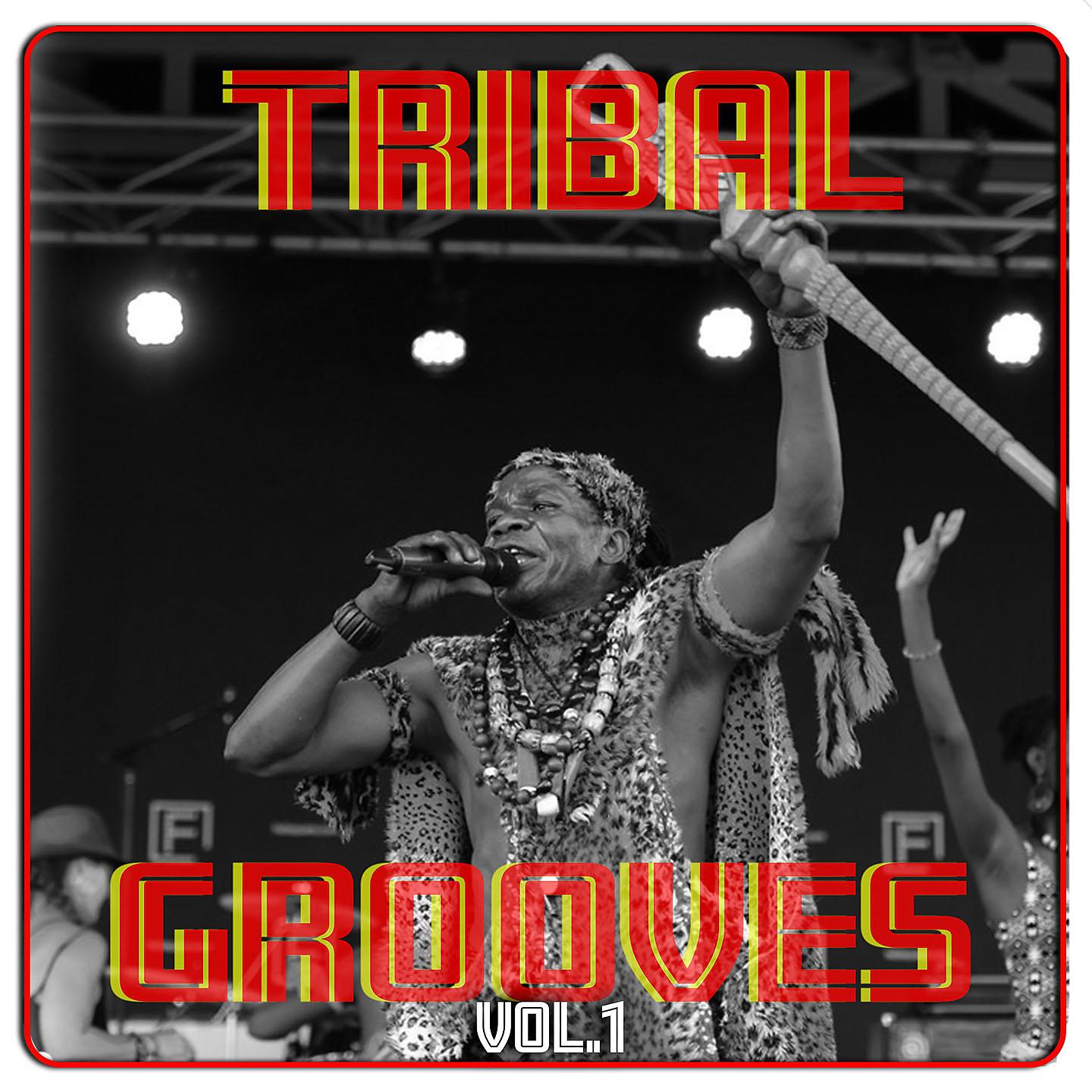 Постер альбома Tribal Grooves Vol. 1