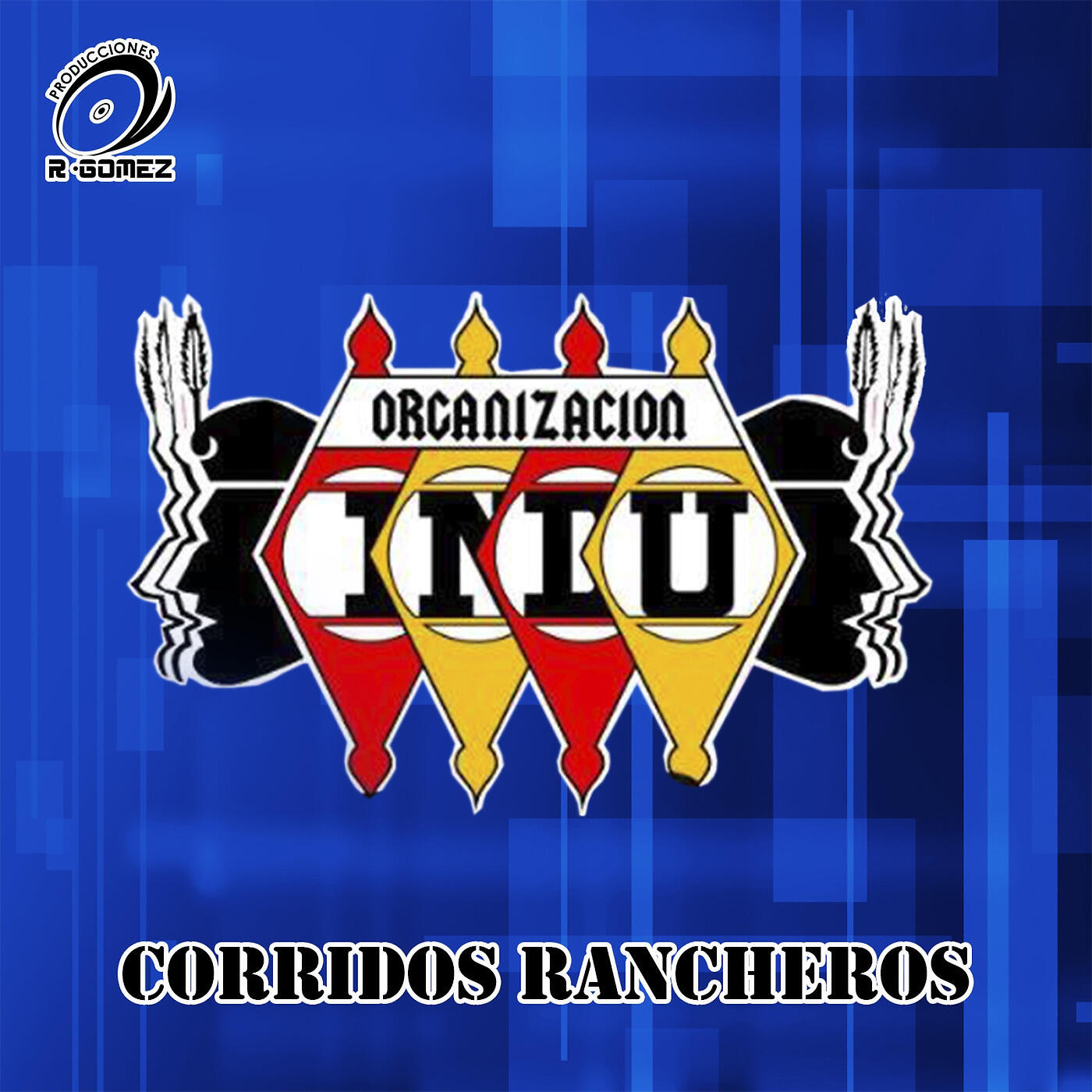 Organizacion Indu - Chilena San Vicente Piñas