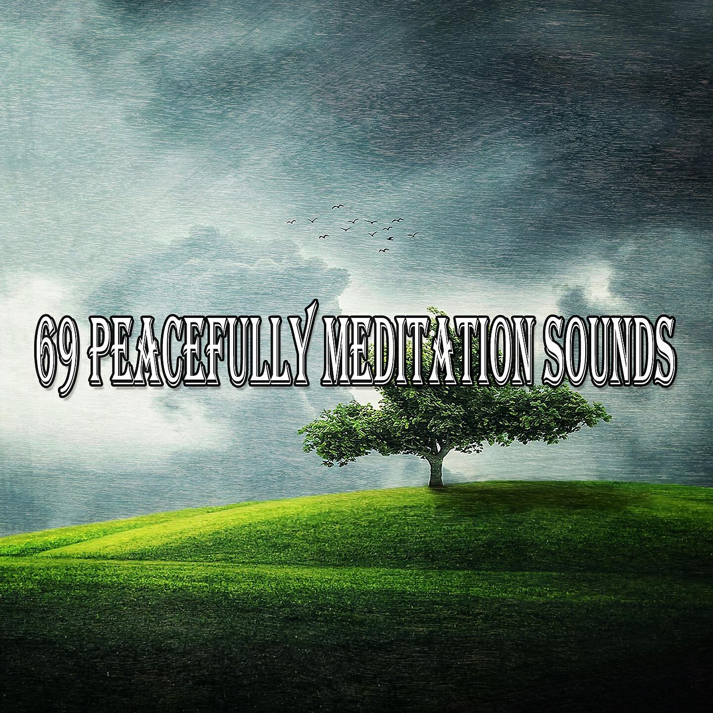 Pro Sounds Effects Library - Rain In The Tree Tops