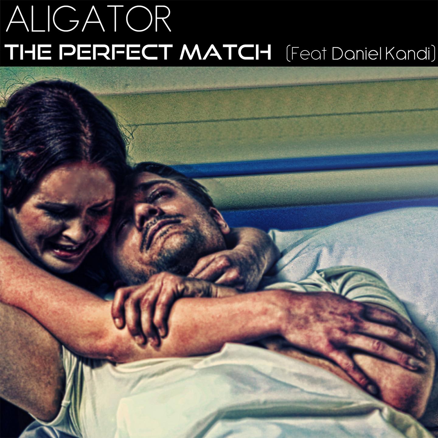 Постер альбома The Perfect Match