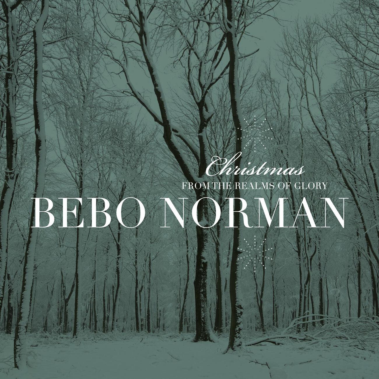 Bebo Norman - Born To Die (Live/2010)