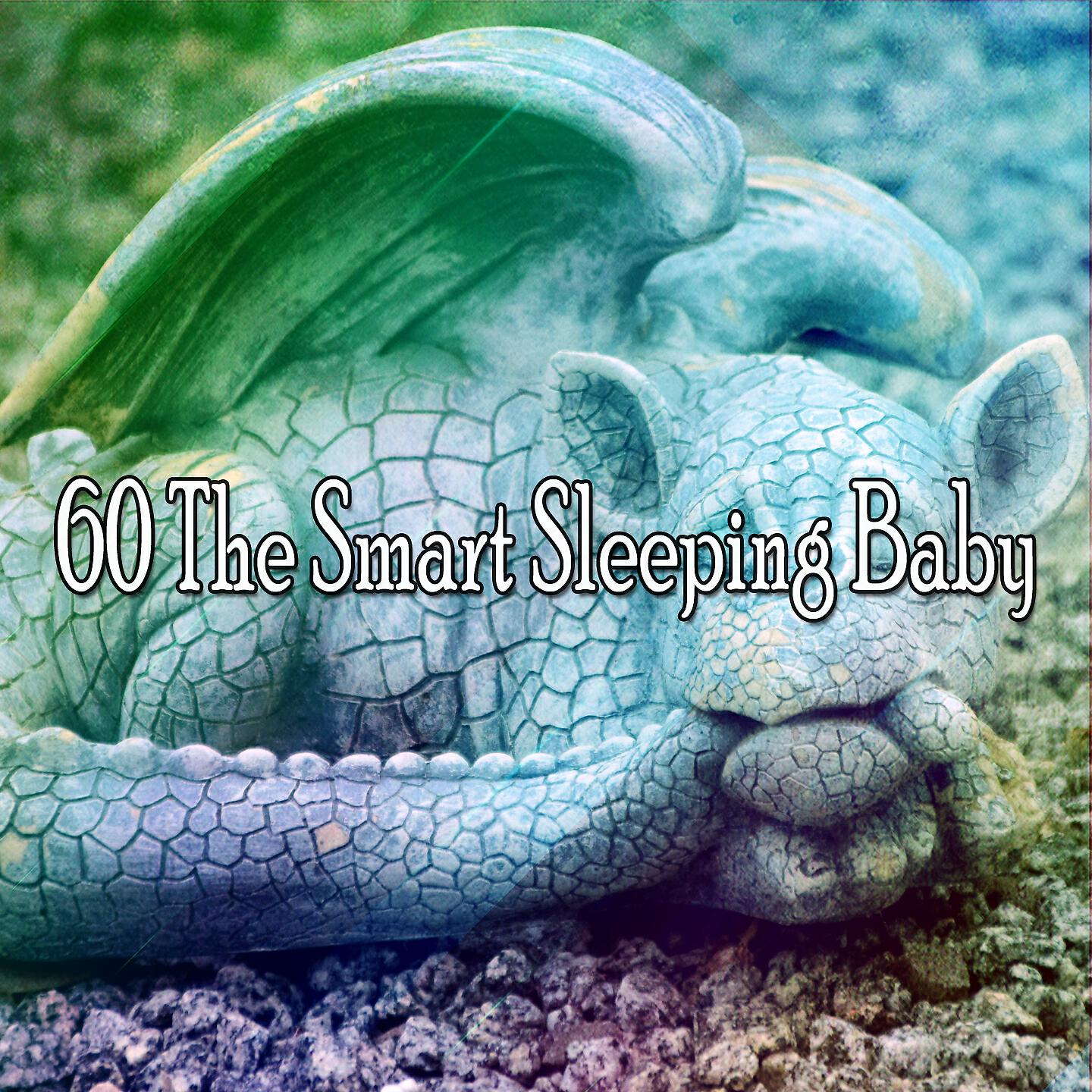 Baby Sweet Dream - Soft Waves Across the Rocks