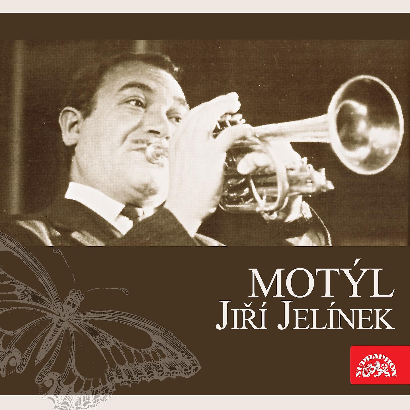 Постер альбома Motýl