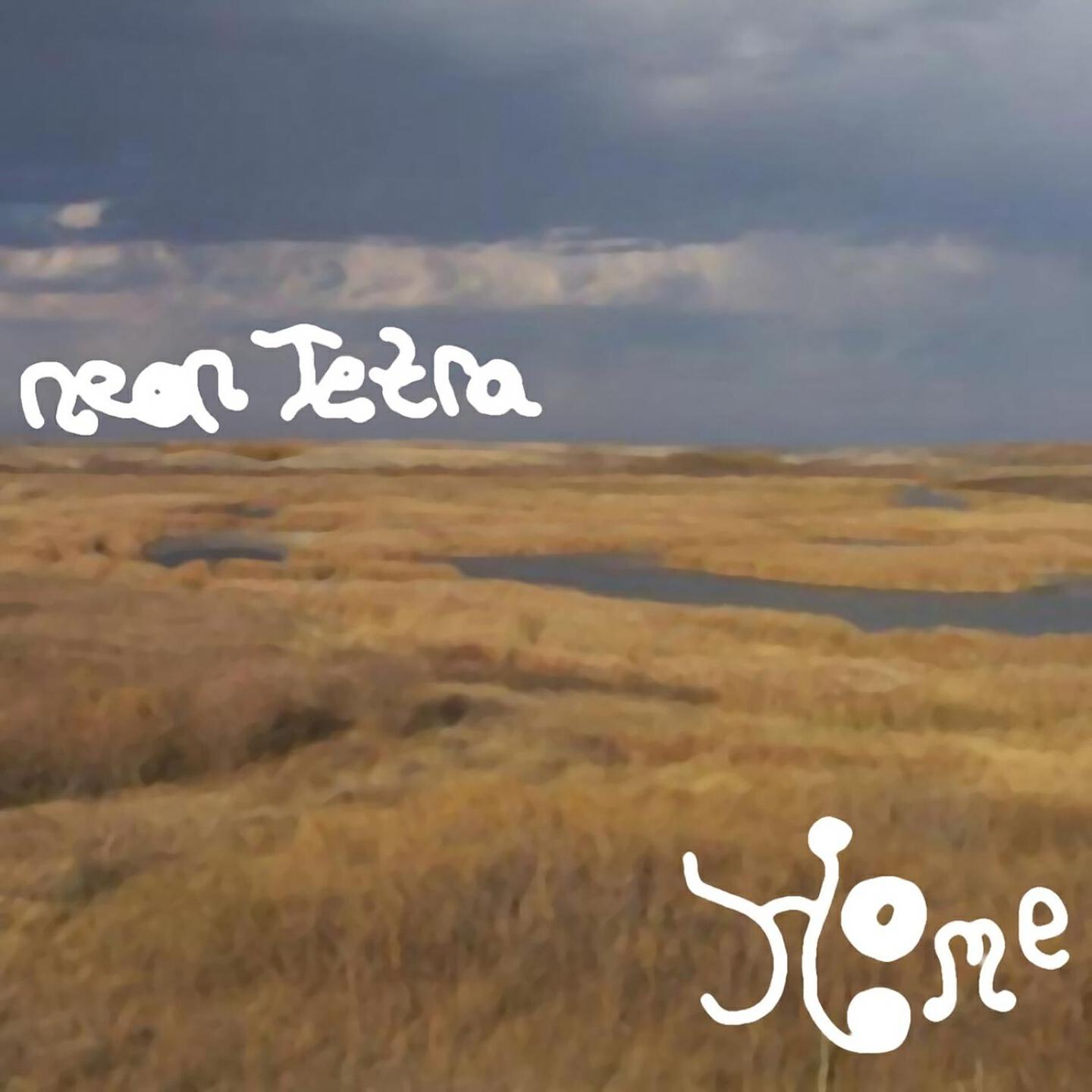 Neon Tetra - Keeping a Memory Within