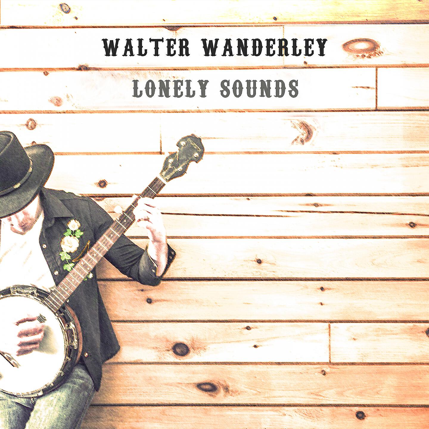 Walter Wanderley - Ninho Do Nono