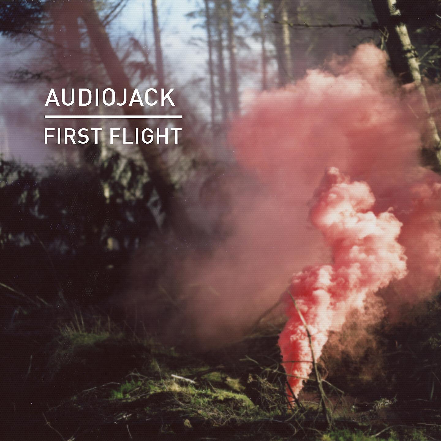 AudioJack - Warehouse (Pig & Dan Remix)