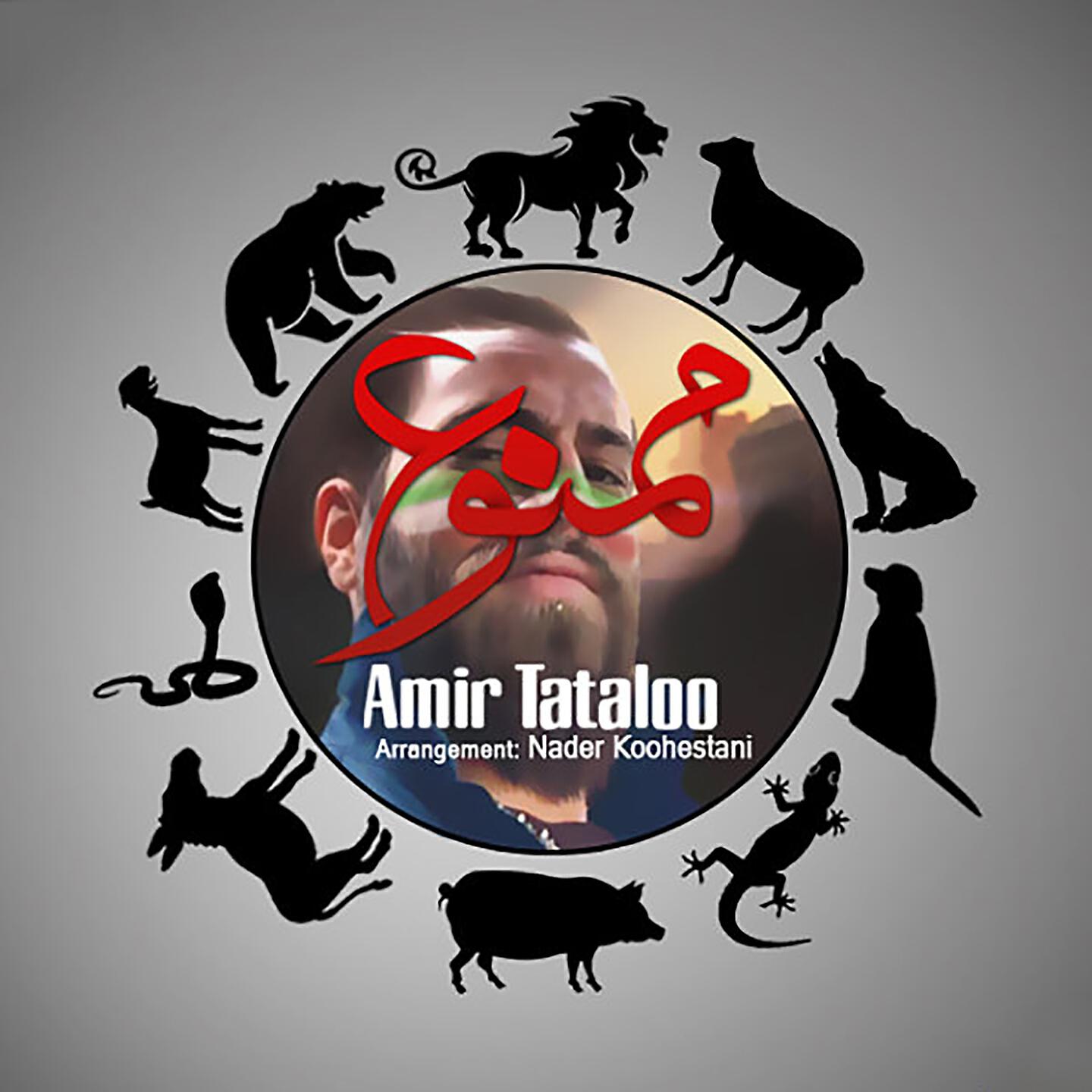 Amir Tataloo - Too Koocheye Ma Ham Aroosi Mishe